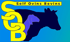Self Ovins Bovin