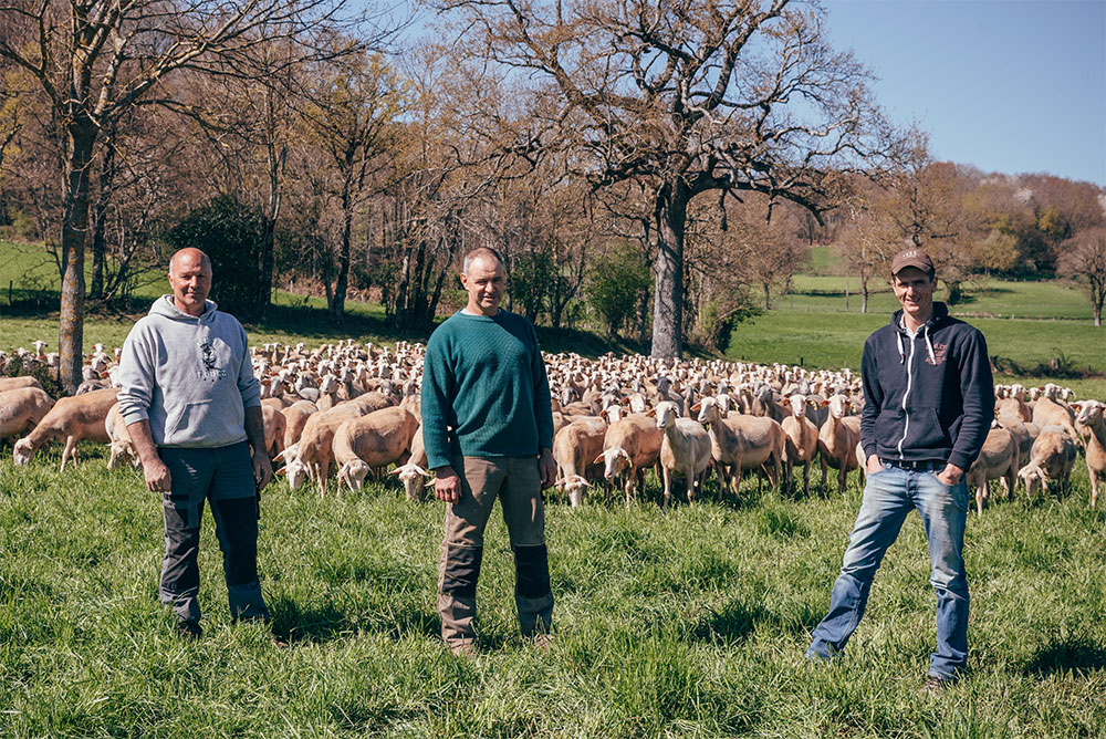Gaec des trois lacs : trois éleveurs de brebis :jean Belet, Thierry Durand, Julien Gavalda à Truel, en Aveyron. Article de Écho'Aveyron mai-juin 2017